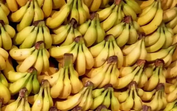 Banana - (1 KG) - Image 5