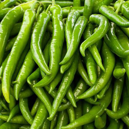 Green Chilli - (10 KG)