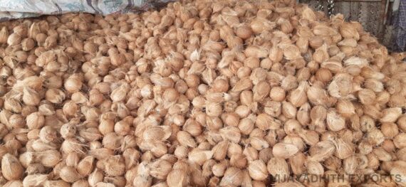 Coconut – (10 KG) - Image 3