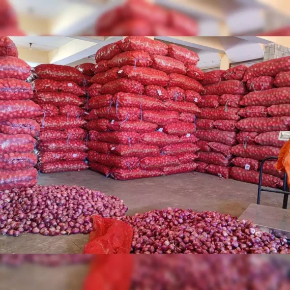 Red Onions – (5 KG) - Image 5