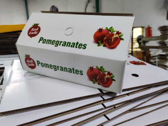 Pomegranate – (5 KG) - Image 6