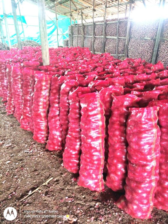 Red Onions – (5 KG) - Image 4