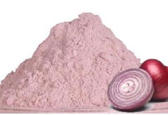 DRY ONION POWER - 100kg MOQ