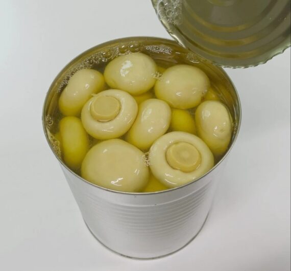 Canned Button Mushroom, Packaging Size: 800 g