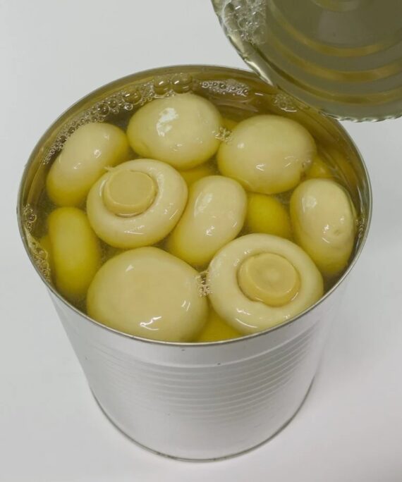 Canned Button Mushroom, Packaging Size: 800 g
