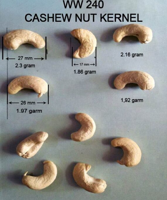 WW240 Cashew Grade - 1 kg