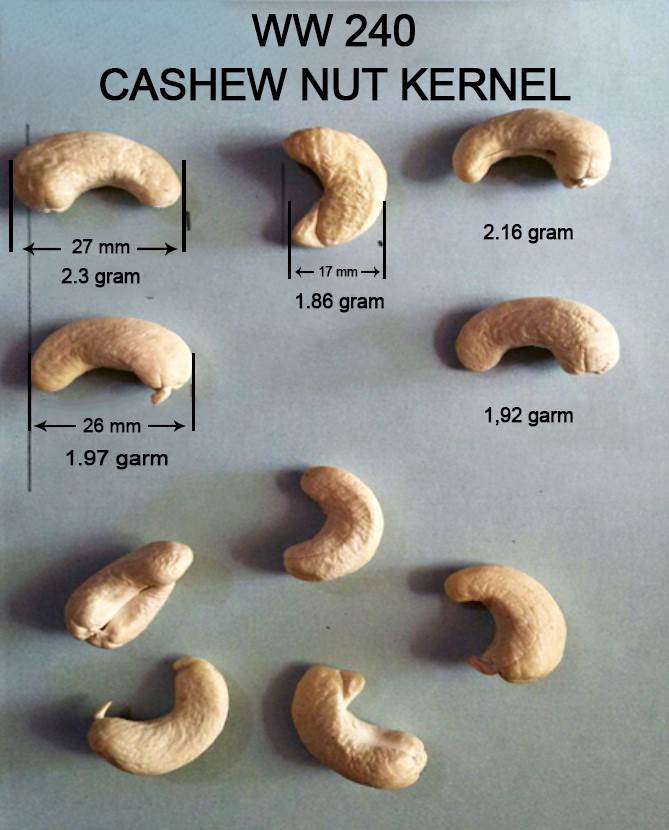 WW240 Cashew Grade - 1 kg